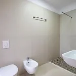 Kalpazo Mosaic تيرانا